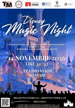 DISNEY MAGIC NIGHT